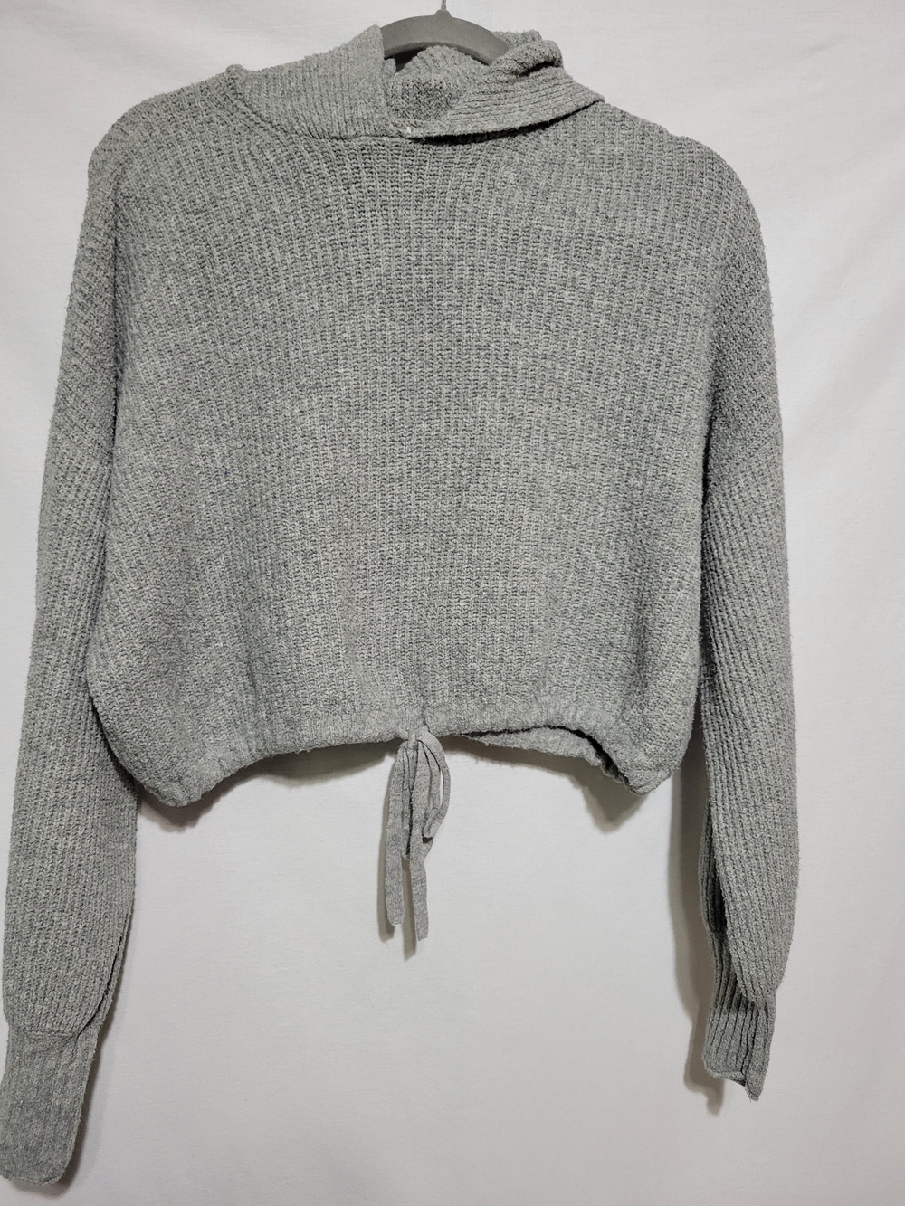 American Eagle Outfitters Light Gray Cropped Hooded Sweater